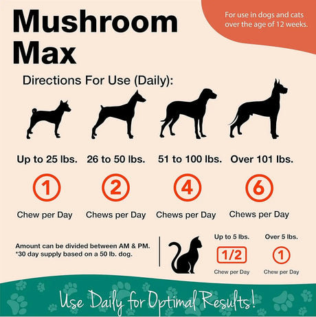 NATURVET - NaturVet Mushroom Max Advanced Immune Support Dog Supplement 120 Masticables - The Red Vitamin MX - Suplementos Herbales Para Perros - {{ shop.shopifyCountryName }}