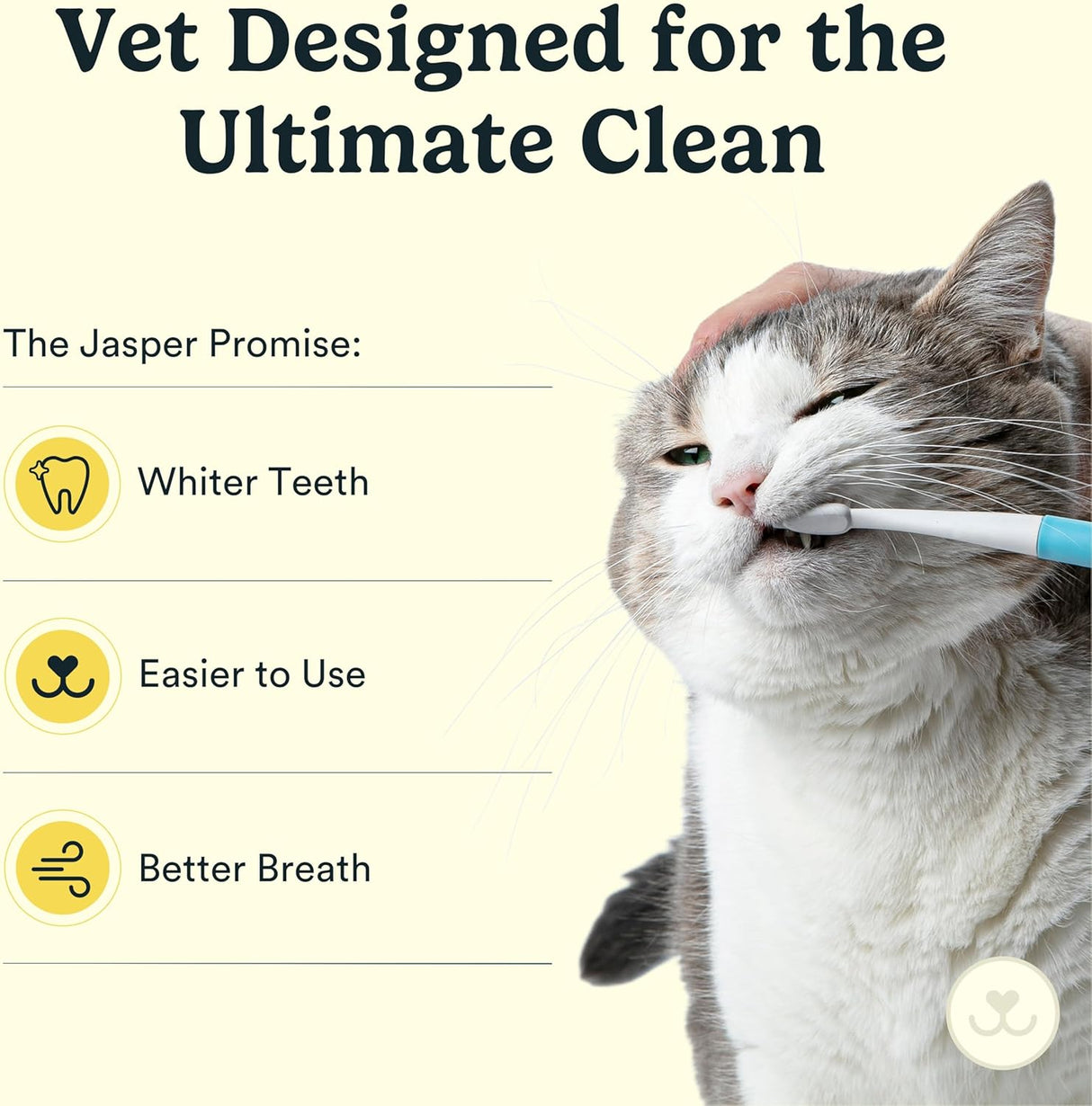 Jasper Microbrush Cat Toothbrush Soft-Bristled Toothbrush Kit