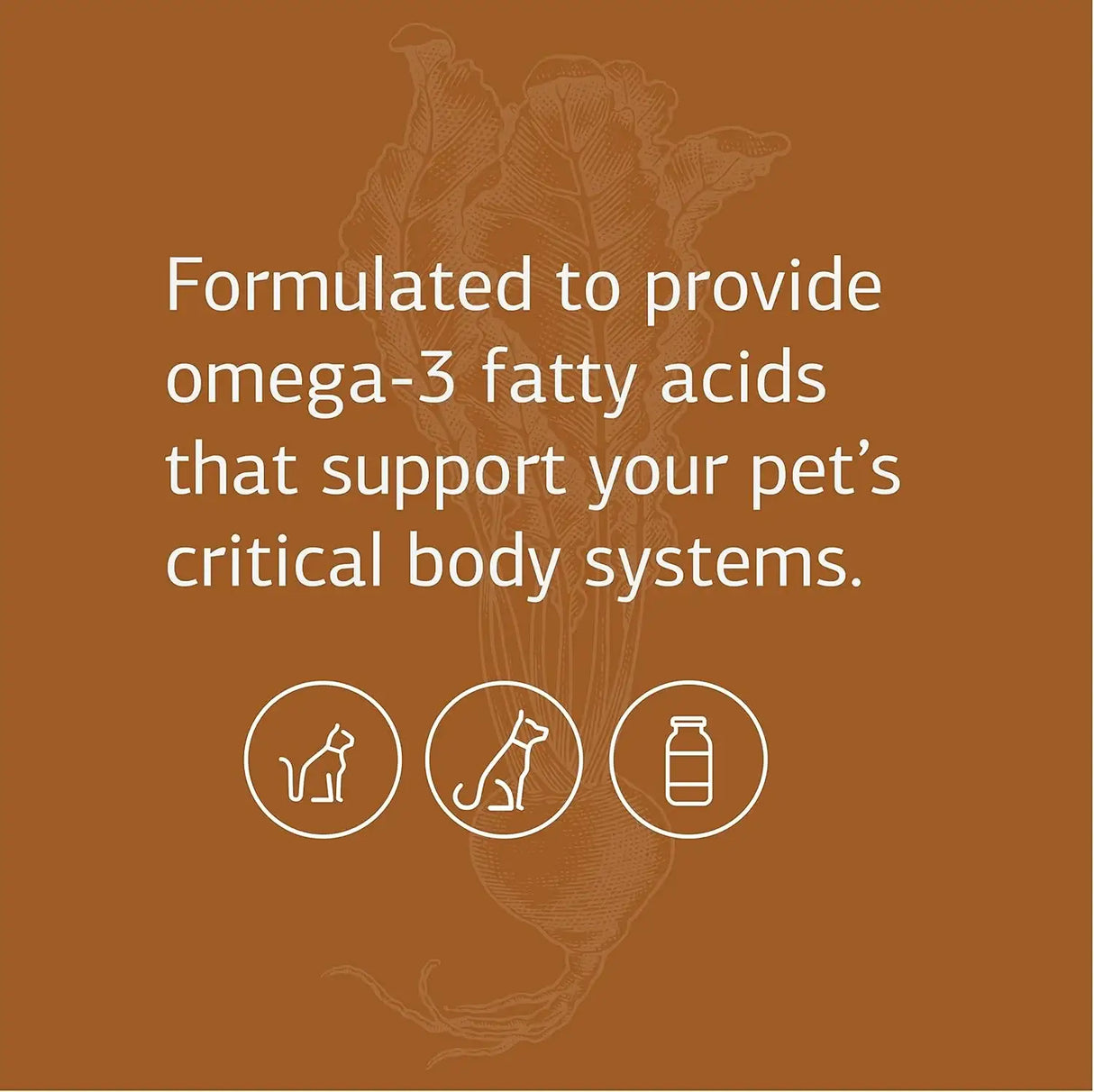 STANDARD PROCESS - Standard Process Inc. VF Omega-3 for Pets 90 Capsulas Blandas - The Red Vitamin MX - Aceite De Pescado Para Perros - {{ shop.shopifyCountryName }}