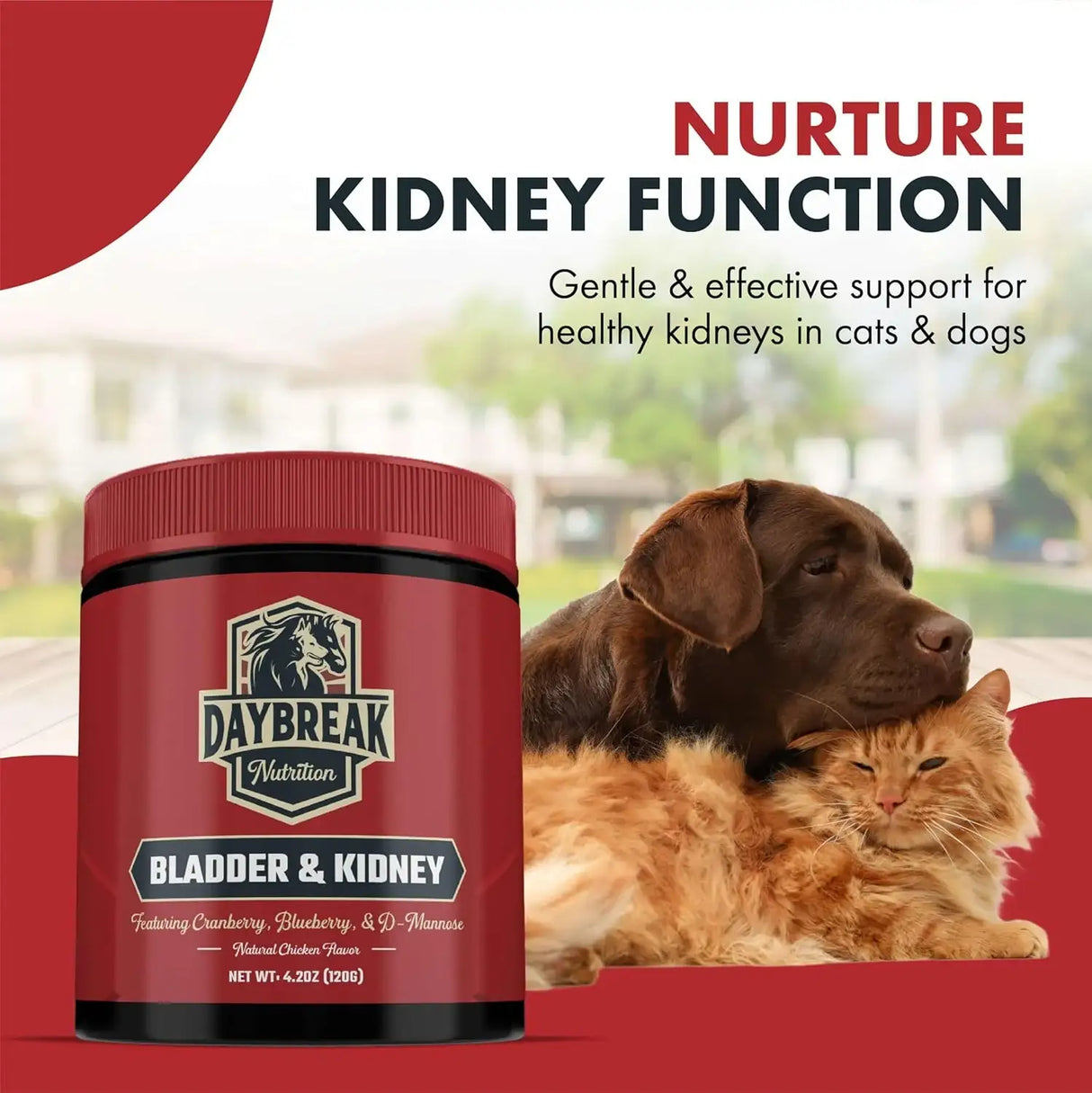 DAYBREAK NUTRITION - Daybreak Nutrition Bladder and Kidney Relief for Dogs & Cats 120Gr. - The Red Vitamin MX - Salud De Tracto Urinario Para Perros - {{ shop.shopifyCountryName }}