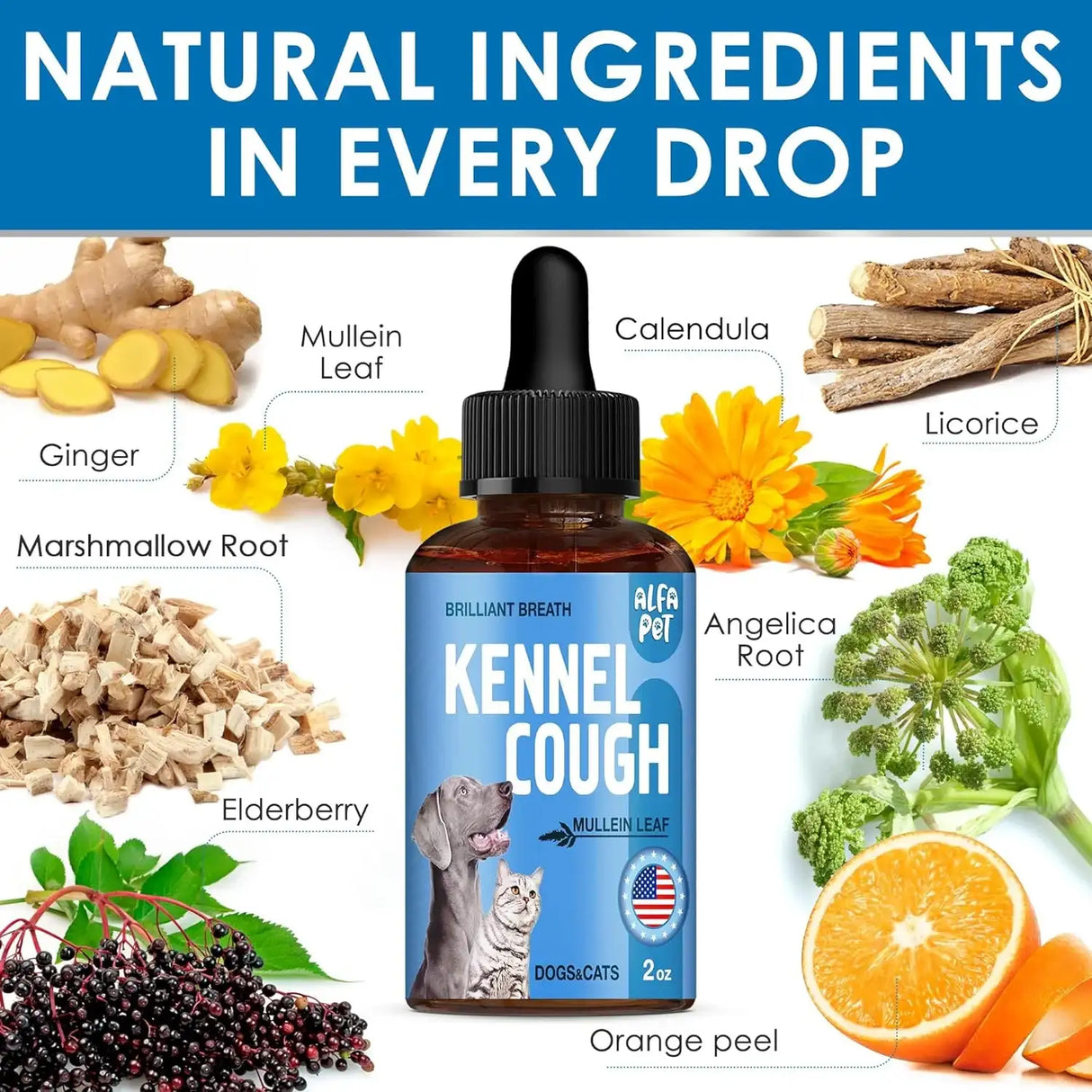 ALFA PET - Alfa Pet Dog Cough Treatment Liquid 2 Fl.Oz. - The Red Vitamin MX - Medicamentos Sin Receta Para Perros - {{ shop.shopifyCountryName }}