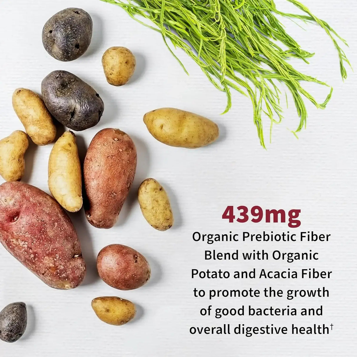 GARDEN OF LIFE - Garden Of Life Dr. Formulated Probiotics Urinary Tract 60 Capsulas - The Red Vitamin MX - Suplementos Alimenticios - {{ shop.shopifyCountryName }}