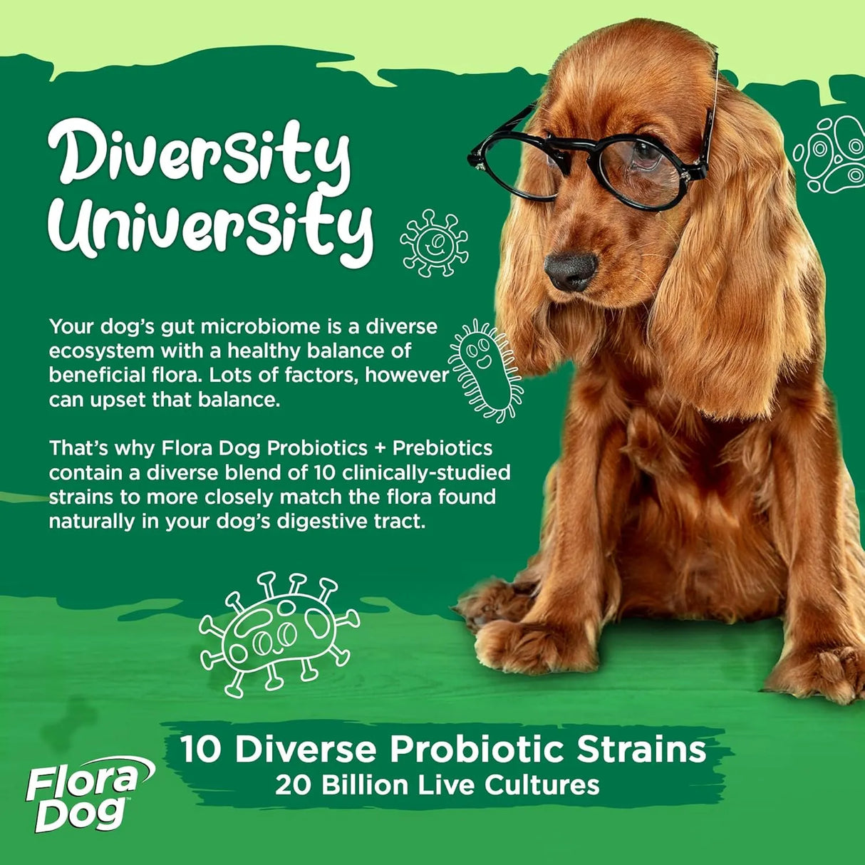 VITAL PLANET - Vital Planet Flora Dog Probiotic Chewable Tablets Beef Flavored 60 Tabletas Masticables - The Red Vitamin MX - Probióticos Para Perros - {{ shop.shopifyCountryName }}