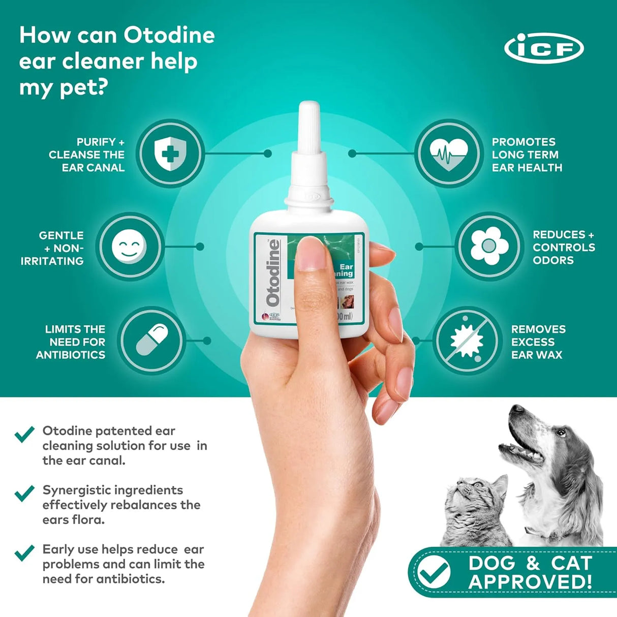 ICF - ICF Otodine Dog Ear Cleaner 100Ml. - The Red Vitamin MX - Cuidado Del Oído De Perros - {{ shop.shopifyCountryName }}