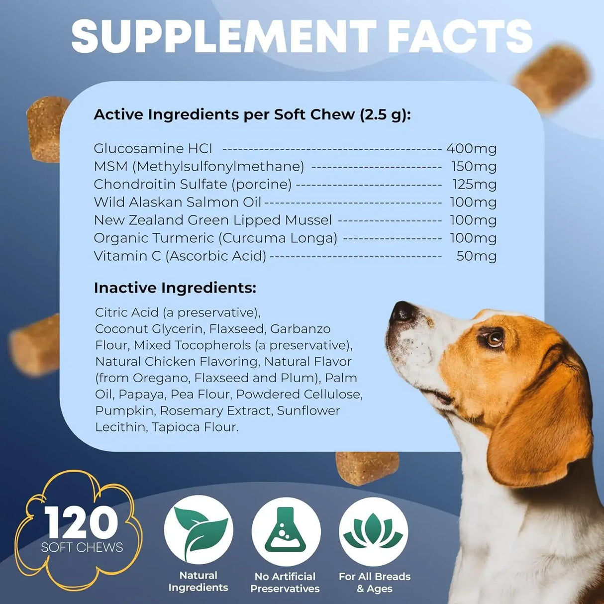 FURRY FUELS - FURRY FUELS Hip and Joint Supplement for Dogs 120 Masticables - The Red Vitamin MX - Cuidado De Cadera Y Articulaciones Para Perros - {{ shop.shopifyCountryName }}