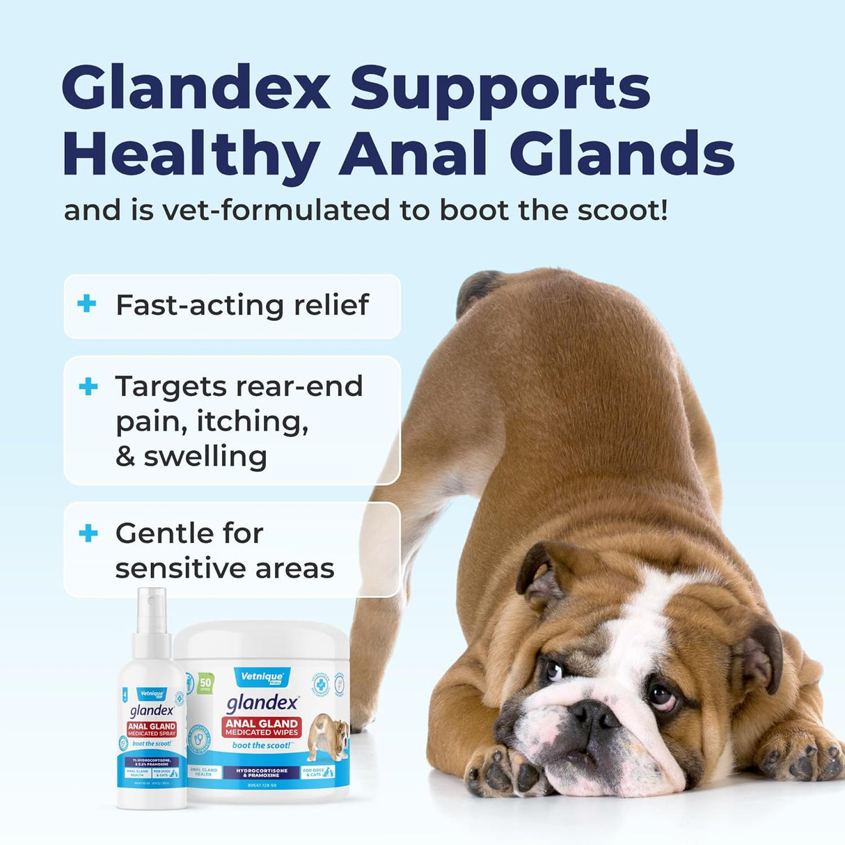 Vetnique Glandex Medicated Dog Butt Wipes 50 Toallitas
