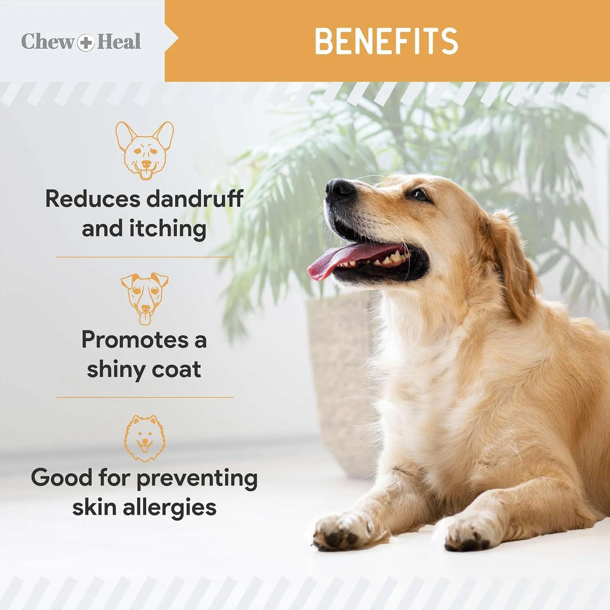 CHEW + HEAL - Chew + Heal Labs Wild Caught Omega 3 Fish Oil for Large Breed 180 Capsulas Blandas - The Red Vitamin MX - Aceite De Pescado Para Perros - {{ shop.shopifyCountryName }}