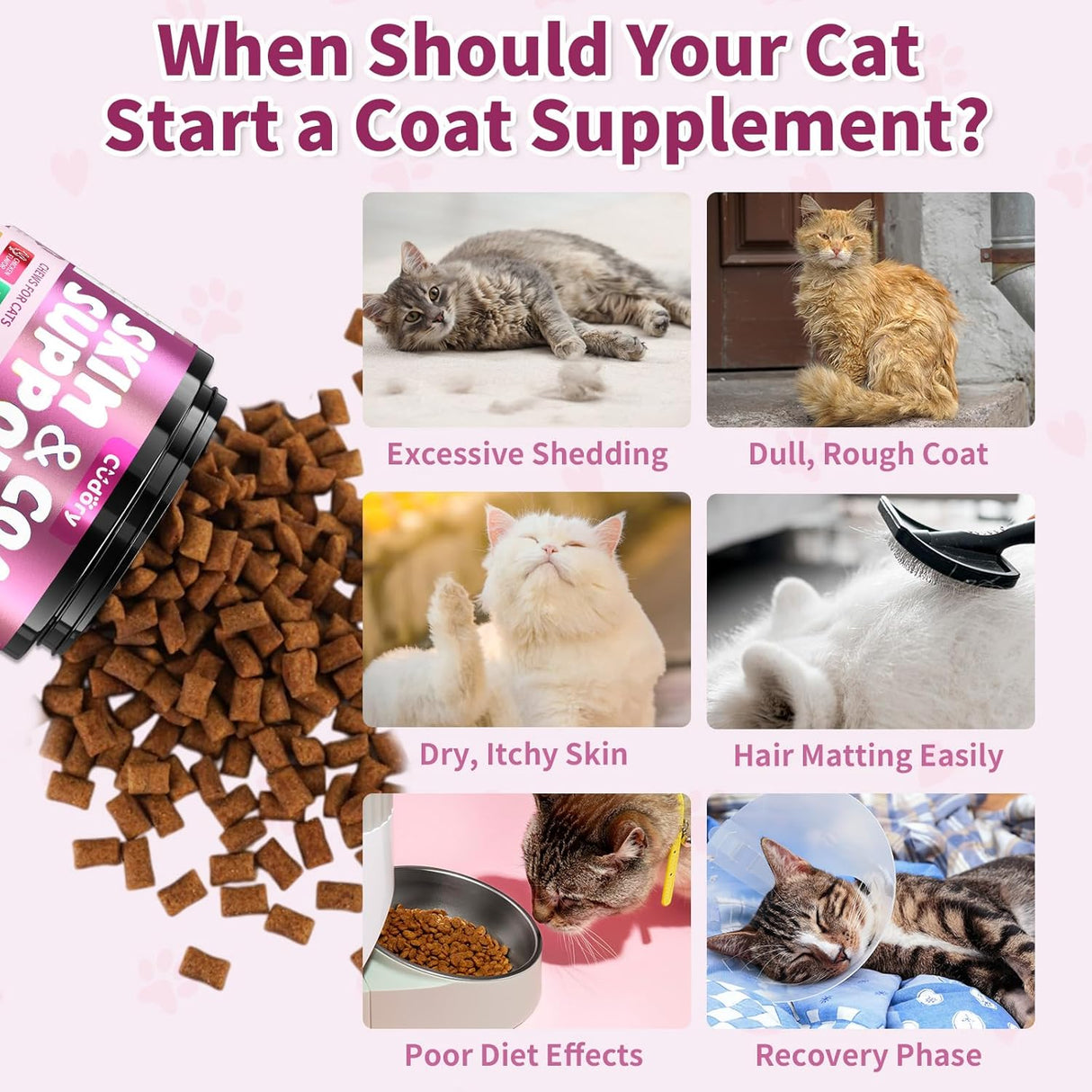 Cudory Natural Skin and Coat Support for Cats 500 Masticables