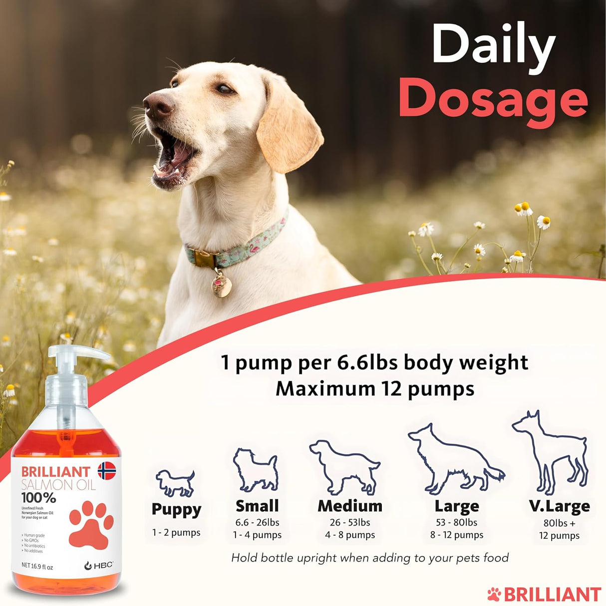Hofseth BioCare Salmon Oil for Dogs 16.9 Fl.Oz.