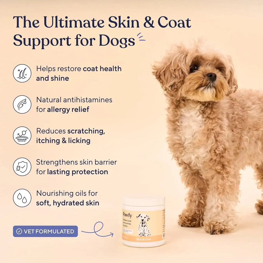 PAWFY - Pawfy Skin & Coat with Salmon Oil Dog Allergy Relief Chews Chicken 30 Masticables - The Red Vitamin MX - Remedios Para La Picazón De Perros - {{ shop.shopifyCountryName }}