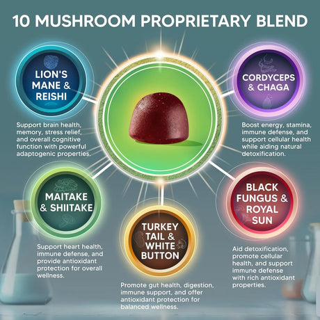 ASQUARED NUTRITION - aSquared Nutrition Mushroom Gummies 10x Complex 60 Gomitas - The Red Vitamin MX - Suplementos Alimenticios - {{ shop.shopifyCountryName }}