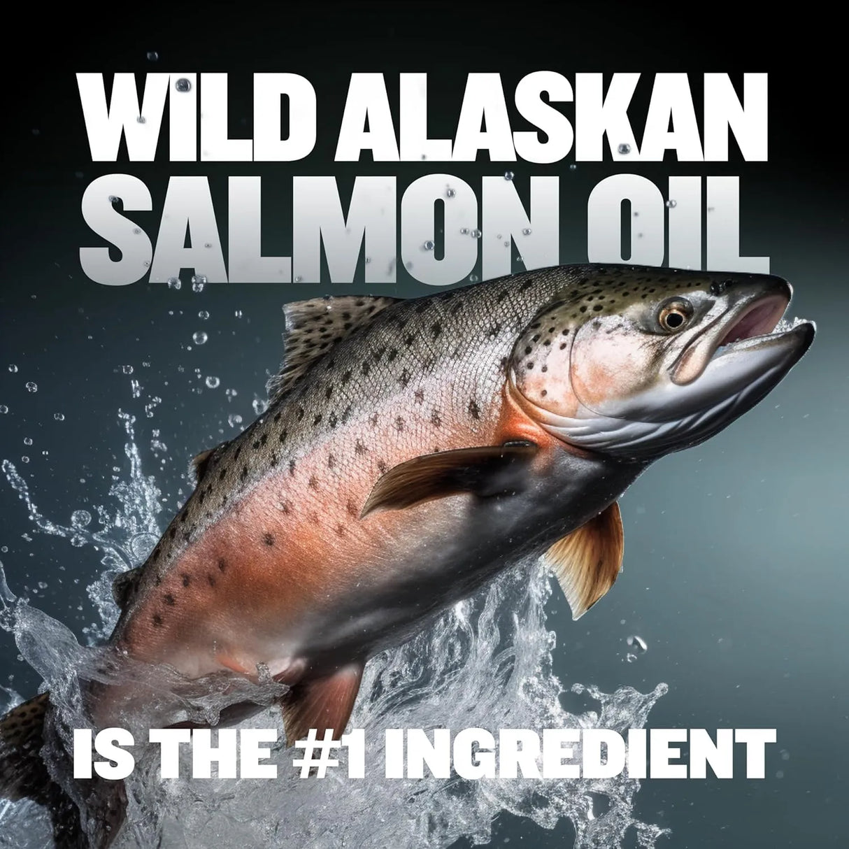 BULLY MAX - Bully Max 7-in-1 Dog Multivitamin Powder 368Gr. - The Red Vitamin MX - Multivitamínicos Para Perros - {{ shop.shopifyCountryName }}