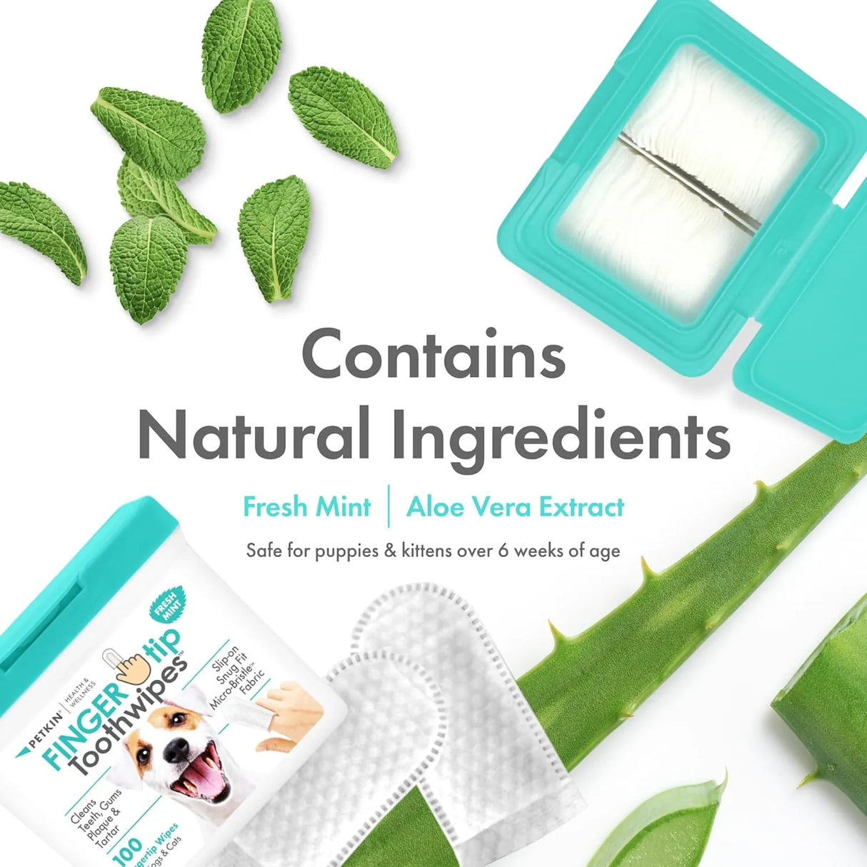 PETKIN - Petkin Fingertip Tooth Wipes for Dogs and Cats Fresh Mint 100 Toallitas - The Red Vitamin MX - Cuidado Dental Para Perros - {{ shop.shopifyCountryName }}