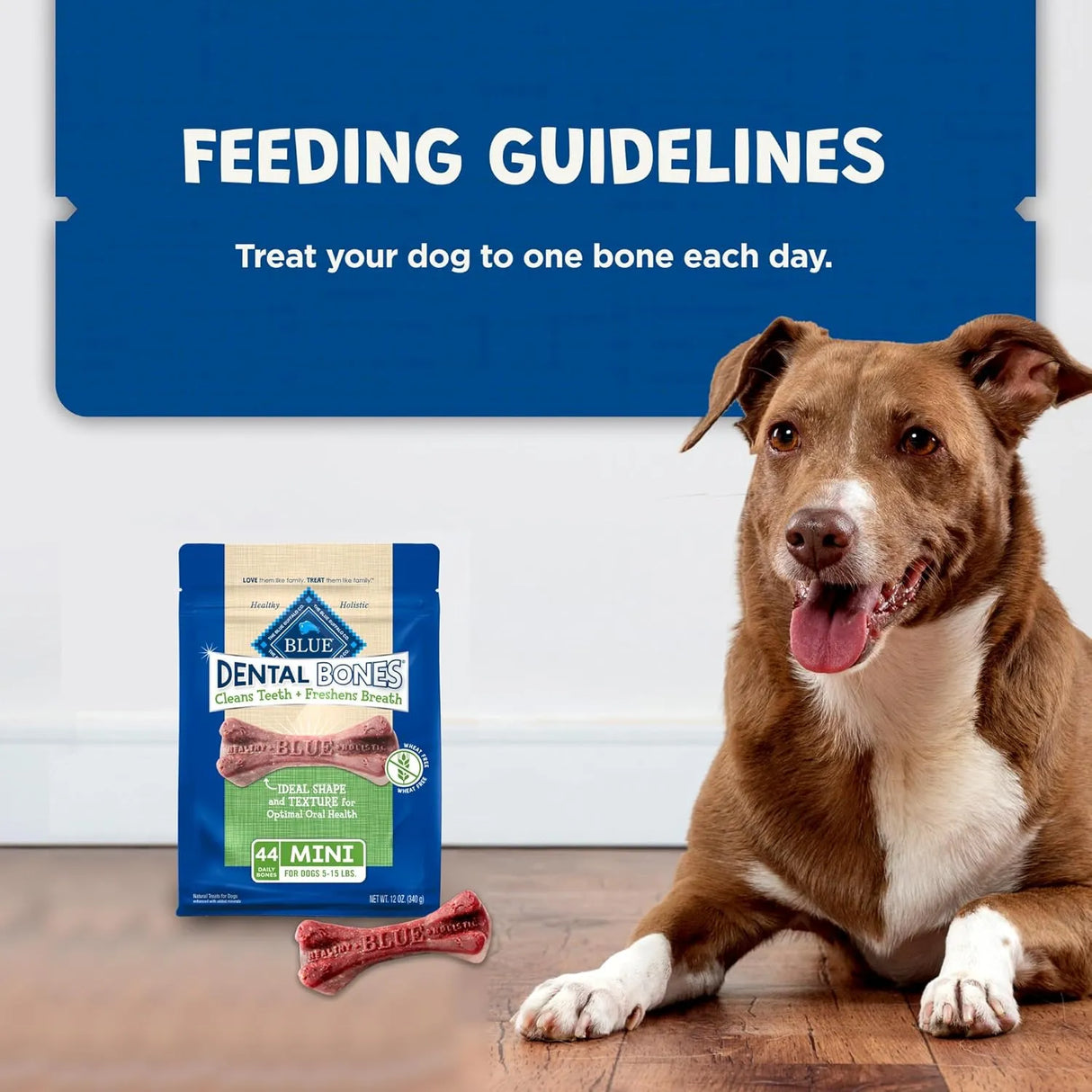 BLUE BUFFALO - Blue Buffalo Dental Bones Mini Natural Dental Chew Dog Treats 44 Piezas - The Red Vitamin MX - Cuidado Dental Para Perros - {{ shop.shopifyCountryName }}