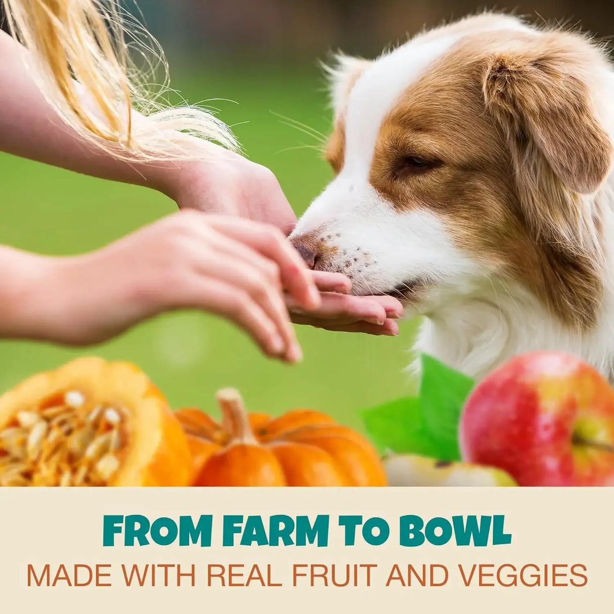 PETIPET - PETIPET Bladder Booster Cranberry Supplement for Dogs 200Gr. - The Red Vitamin MX - Salud De Tracto Urinario Para Perros - {{ shop.shopifyCountryName }}