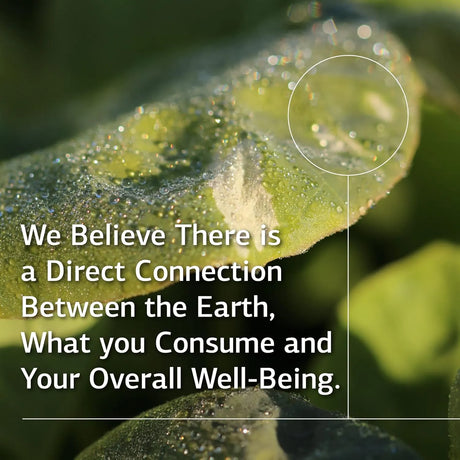 STANDARD PROCESS - Standard Process E-Manganese 50 Tabletas - The Red Vitamin MX - Suplementos Alimenticios - {{ shop.shopifyCountryName }}