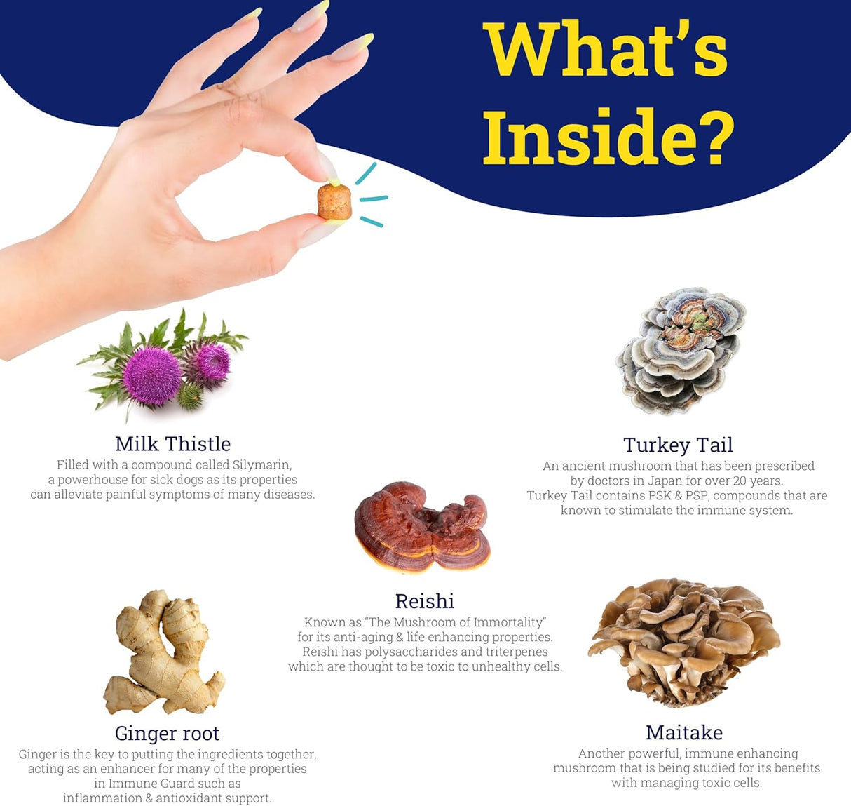 PetHeal Immune Guard Advanced Support for Dogs with Cancer 55 Masticables