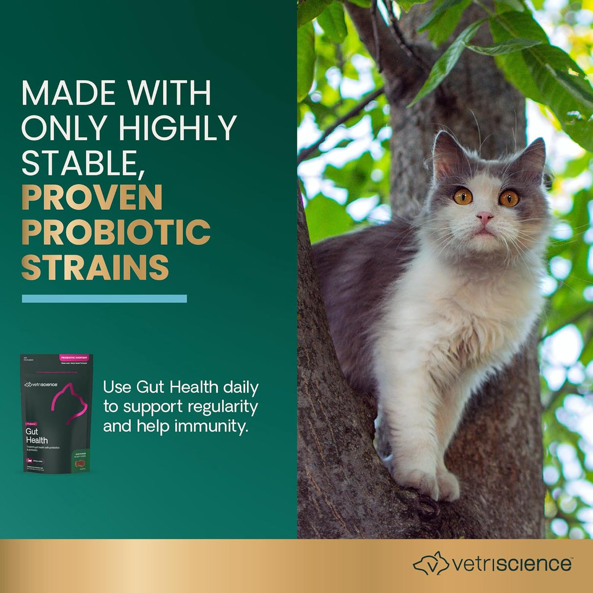 VetriScience Gut Health Probiotic & Prebiotic Digestive for Cats 60 Masticables