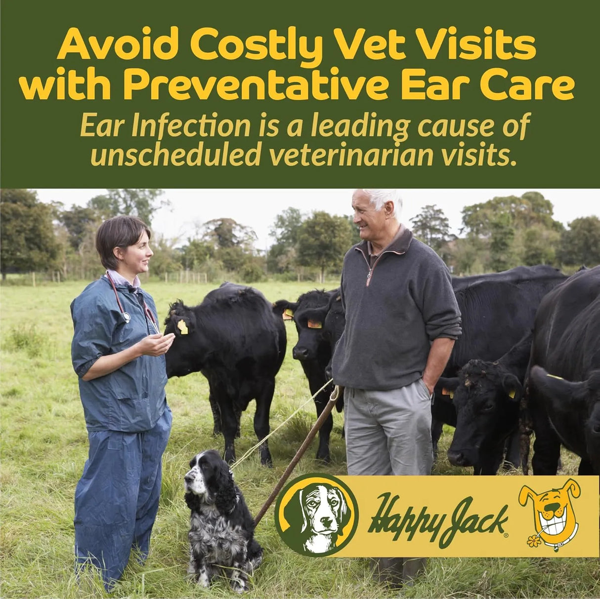 HAPPY JACK - HAPPY JACK Dog Ear Wipes with Aloe 100 Toallitas - The Red Vitamin MX - Cuidado Del Oído De Perros - {{ shop.shopifyCountryName }}