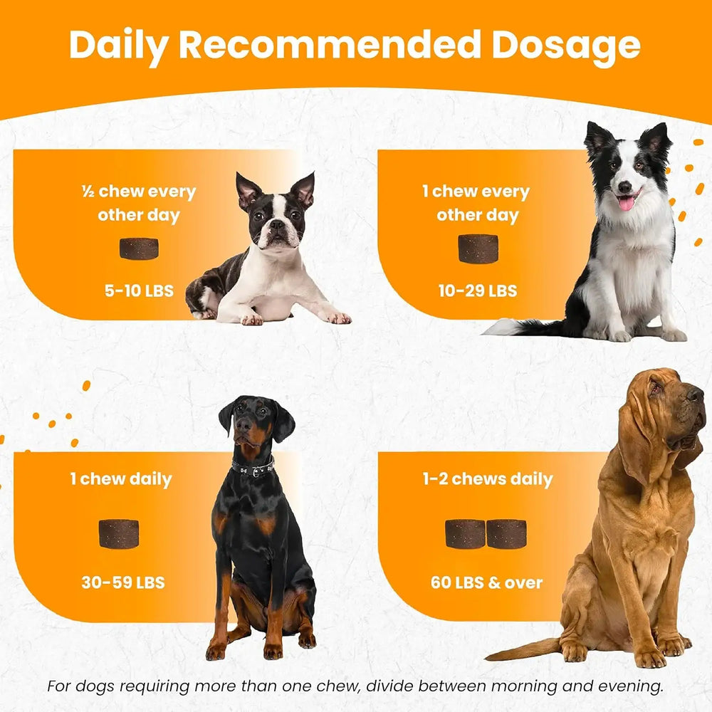 NOOTIE - Nootie Hip and Joint Soft Chews Supplement for Dogs 250 Masticables - The Red Vitamin MX - Cuidado De Cadera Y Articulaciones Para Perros - {{ shop.shopifyCountryName }}