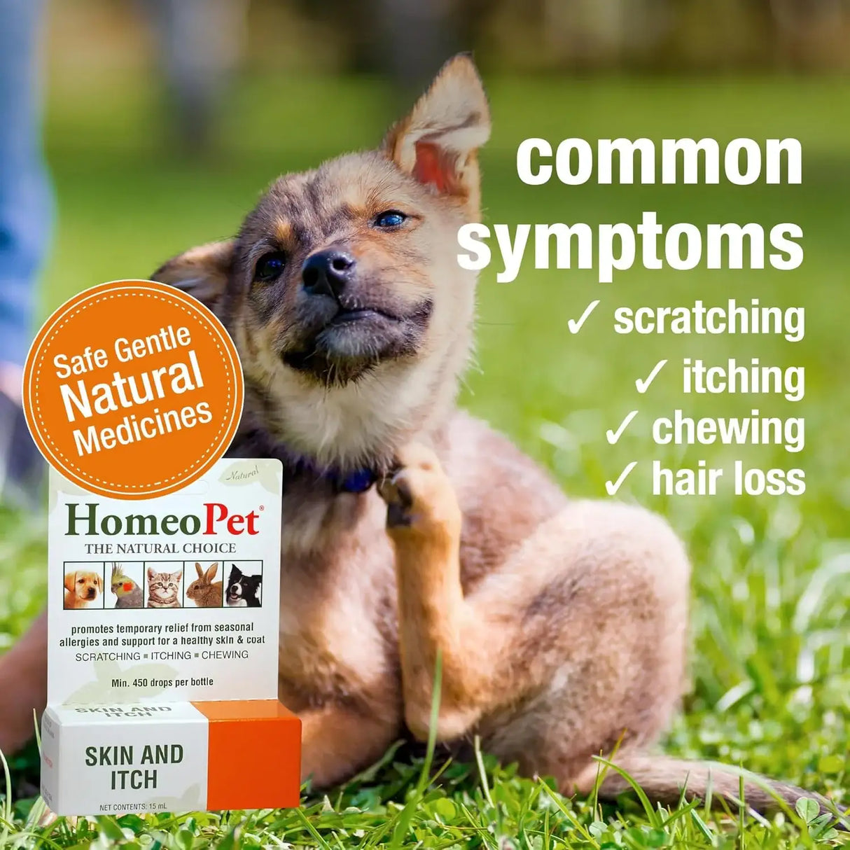 HOMEOPET - HomeoPet Skin and Itch Safe and Natural Itch Relief for Dogs and Cats 15Ml. - The Red Vitamin MX - Remedios Para La Picazón De Perros - {{ shop.shopifyCountryName }}