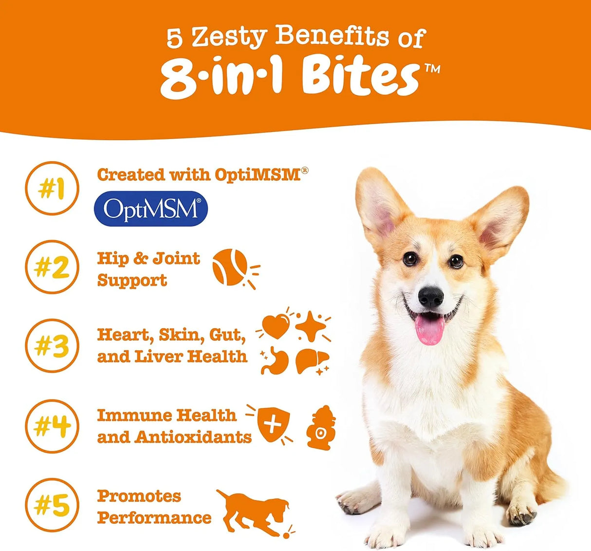 ZESTY PAWS - Zesty Paws Multivitamin Treats for Dogs Chicken Flavor 250 Masticables - The Red Vitamin MX - Cuidado De Los Ojos De Los Perros - {{ shop.shopifyCountryName }}