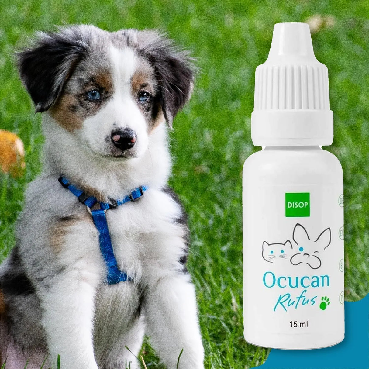 OCUCAN - Ocucan Rufus Moisturizing Eye Drops for Dogs and Cats 15Ml. - The Red Vitamin MX - Cuidado De Los Ojos De Los Perros - {{ shop.shopifyCountryName }}