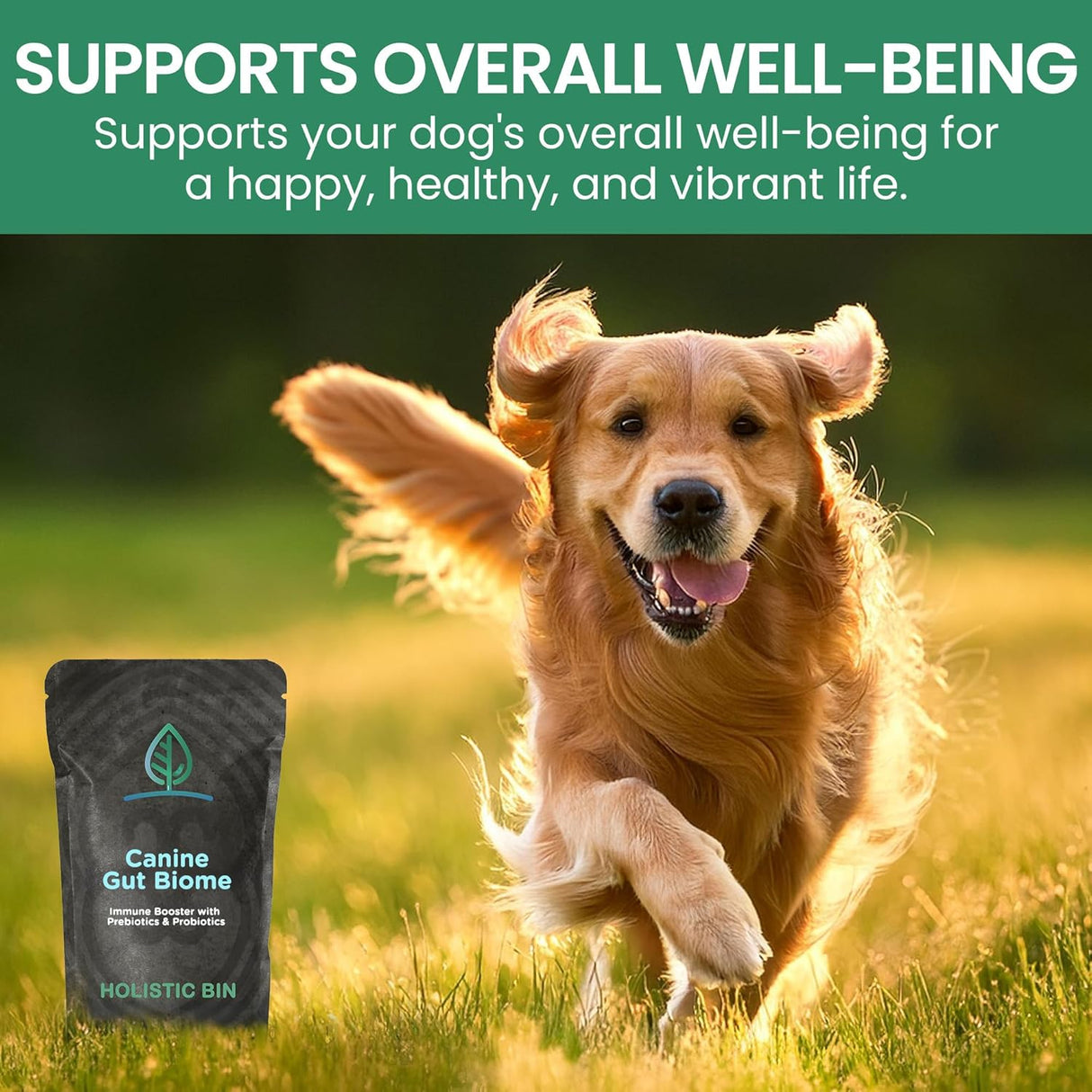 HOLISTIC BIN - HOLISTIC BIN Canine Gut Biome Powder 50Gr. - The Red Vitamin MX - Probióticos Para Perros - {{ shop.shopifyCountryName }}