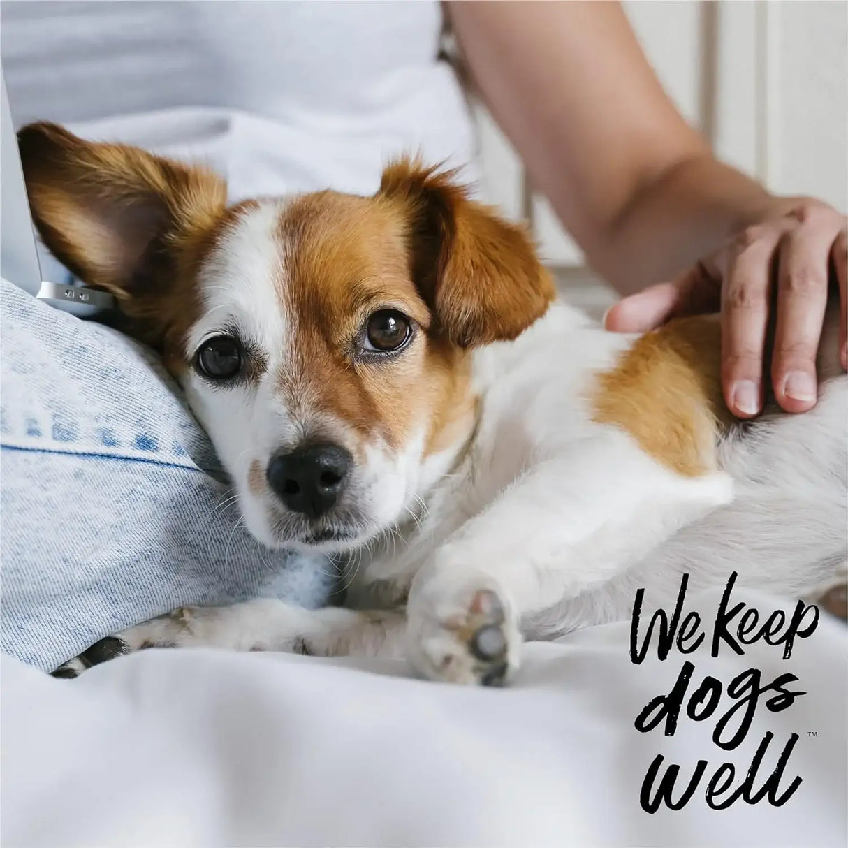 DOGSWELL - DOGSWELL Remedy + Recovery 0.5% Hydrocortisone Lotion for Dogs 4 Fl.Oz. - The Red Vitamin MX - Remedios Para La Picazón De Perros - {{ shop.shopifyCountryName }}