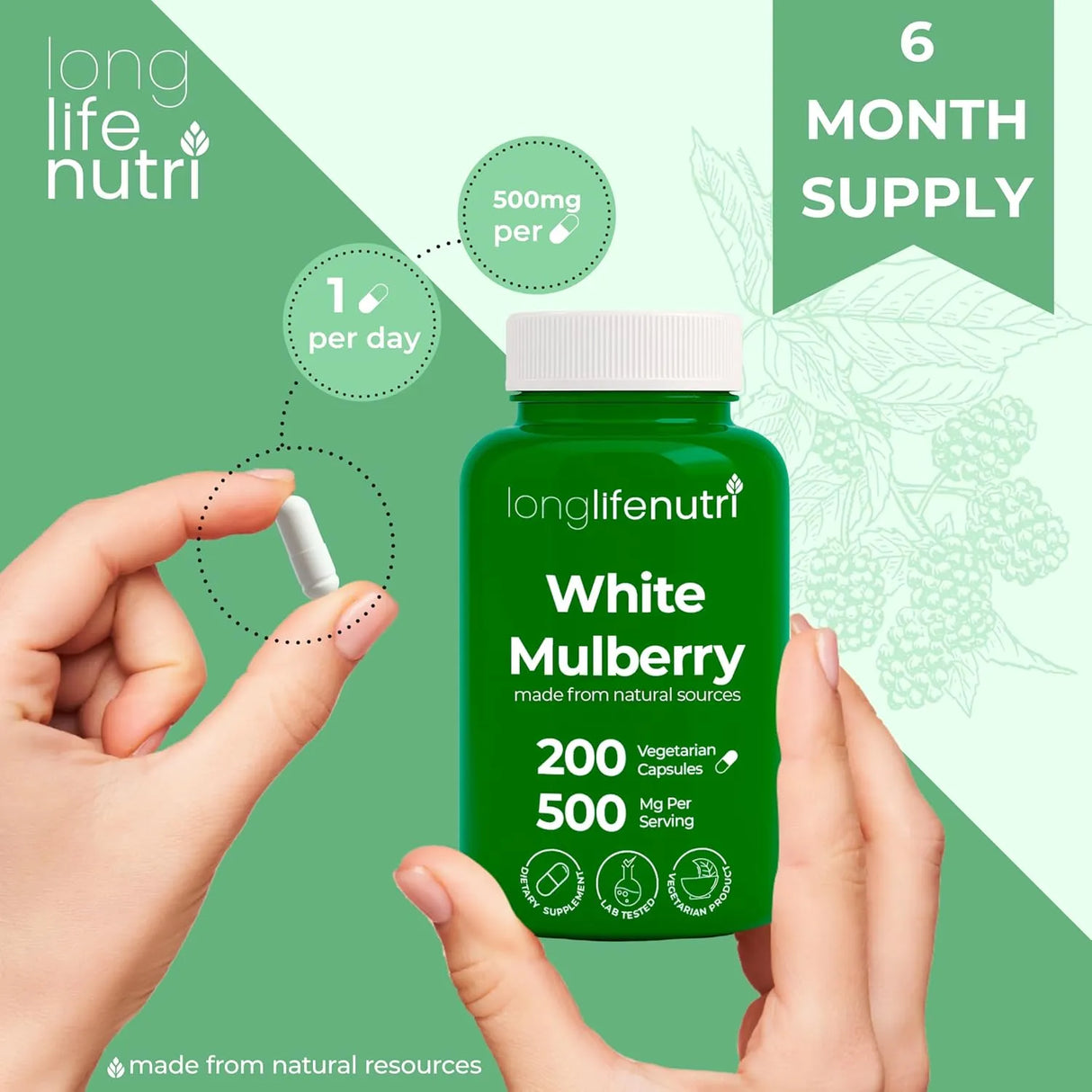 LONGLIFENUTRI - LongLifeNutri White Mulberry Leaf Extract 500Mg. 200 Capsulas - The Red Vitamin MX - Suplementos Alimenticios - {{ shop.shopifyCountryName }}