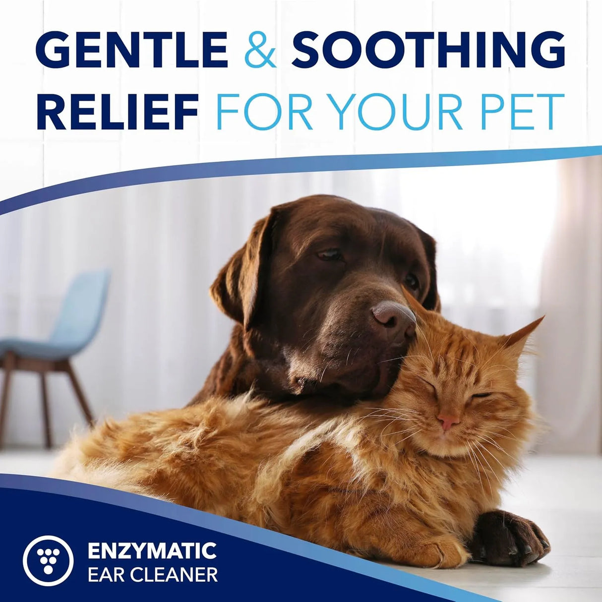 TROPICLEAN - TropiClean OxyMed Enzymatic Dog Ear Cleaner 4 Fl.Oz. - The Red Vitamin MX - Cuidado Del Oído De Perros - {{ shop.shopifyCountryName }}