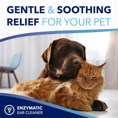 TROPICLEAN - TropiClean OxyMed Enzymatic Dog Ear Cleaner 4 Fl.Oz. - The Red Vitamin MX - Cuidado Del Oído De Perros - {{ shop.shopifyCountryName }}