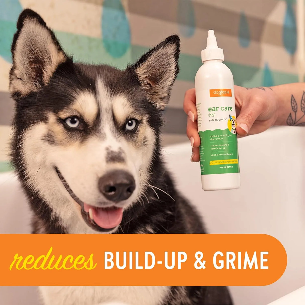 DOGTOPIA - Dogtopia Ear Wipes and Ear Care Pro Solution for Pets - The Red Vitamin MX - Cuidado Del Oído De Perros - {{ shop.shopifyCountryName }}