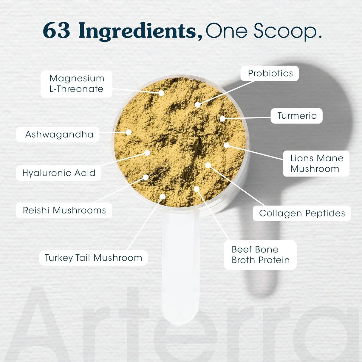 ARTERRA - Arterra Longevity Multivitamin for Senior Dogs 30 Servicios 290Gr. - The Red Vitamin MX - Multivitamínicos Para Perros - {{ shop.shopifyCountryName }}