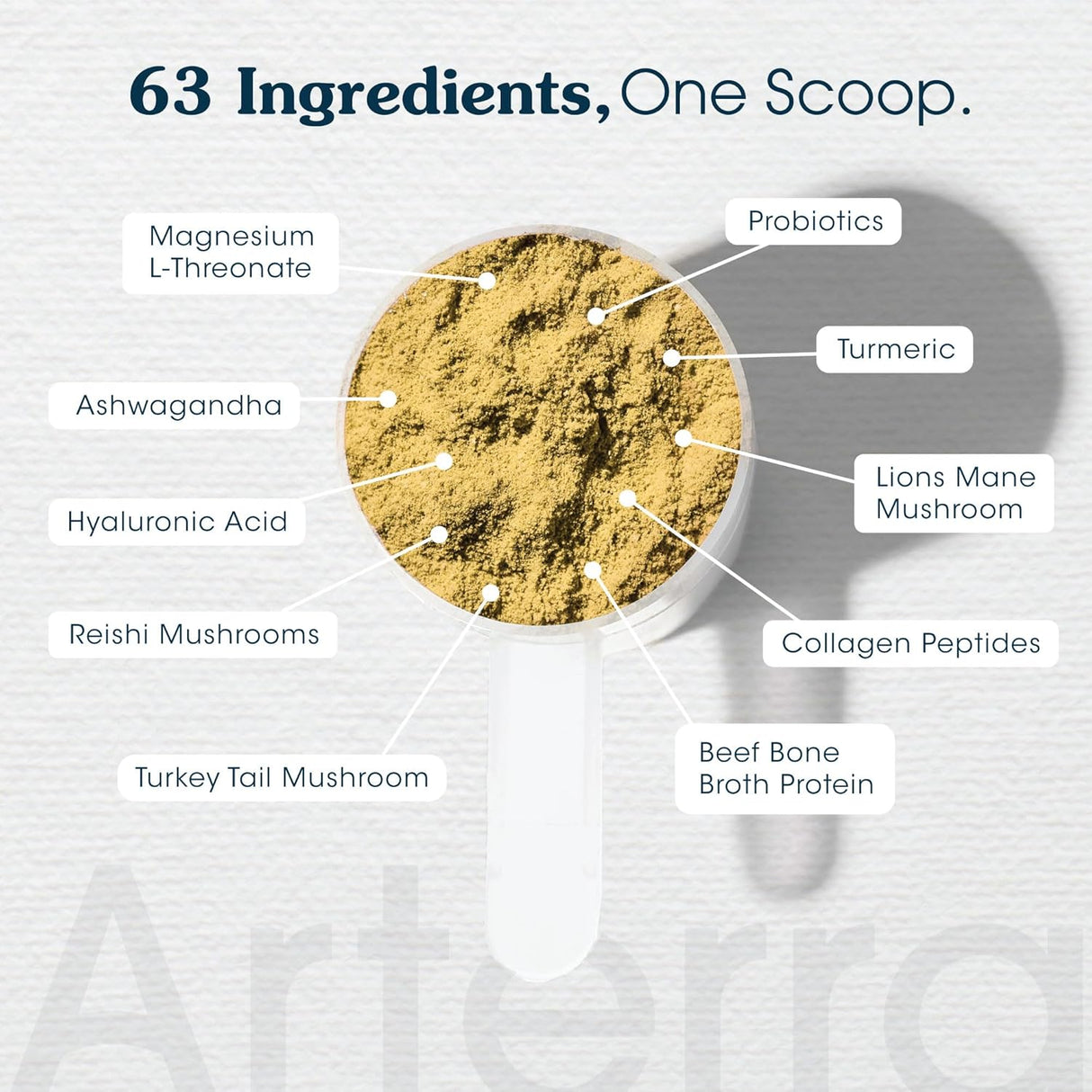 ARTERRA - Arterra Pet Science Senior Dog Powder Supplement & Food Topper 30 Servicios 290Gr. - The Red Vitamin MX - Suplementos Herbales Para Perros - {{ shop.shopifyCountryName }}