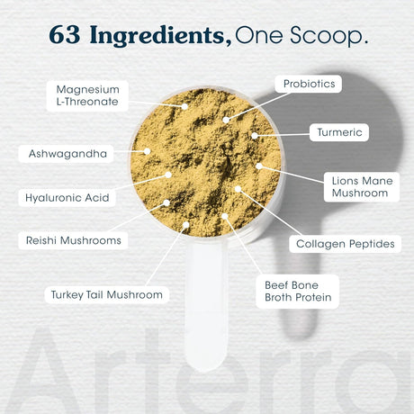 ARTERRA - Arterra Pet Science Senior Dog Powder Supplement & Food Topper 30 Servicios 290Gr. - The Red Vitamin MX - Suplementos Herbales Para Perros - {{ shop.shopifyCountryName }}