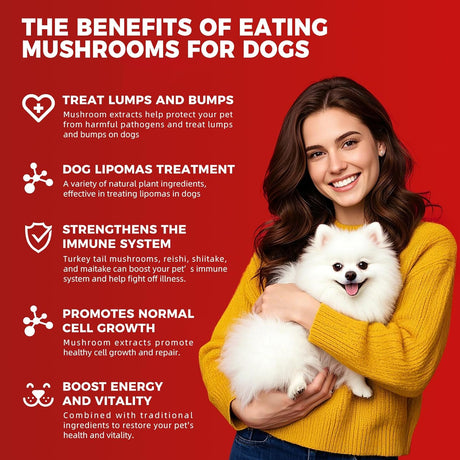 VIVAELIXIR - VivaElixir Immune Support Chews with Turkey Tail Mushroom Reishi Shiitake Maitake Curcumin & CoQ10 150 Masticables - The Red Vitamin MX - Suplementos Herbales Para Perros - {{ shop.shopifyCountryName }}