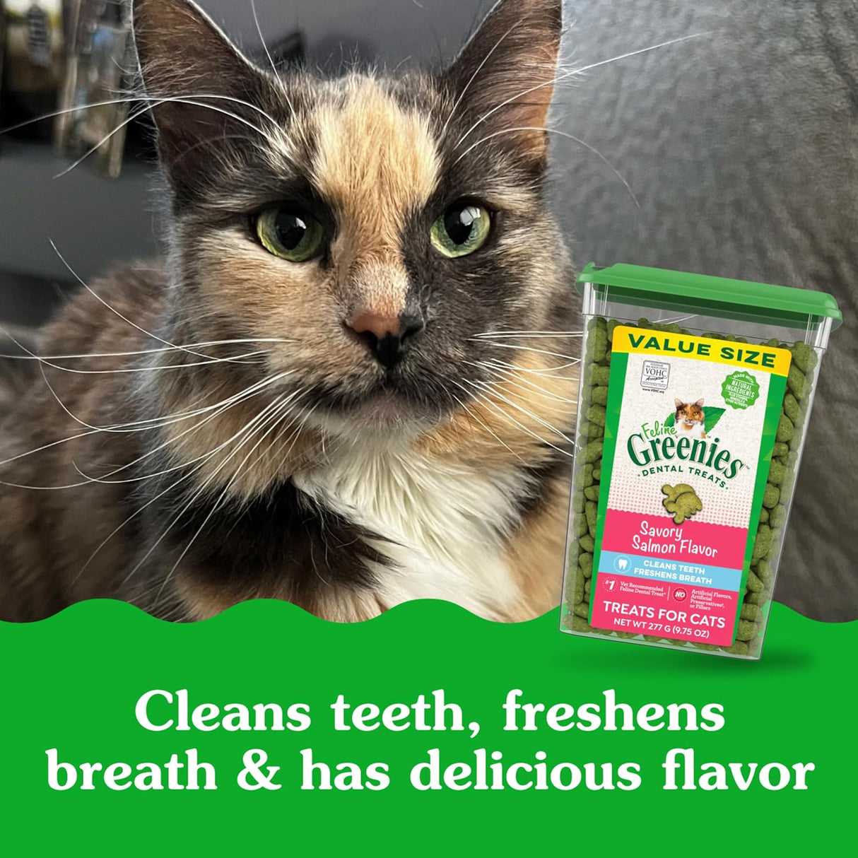 Greenies Feline Adult Dental Cat Treats Savory Salmon Flavor 277Gr.