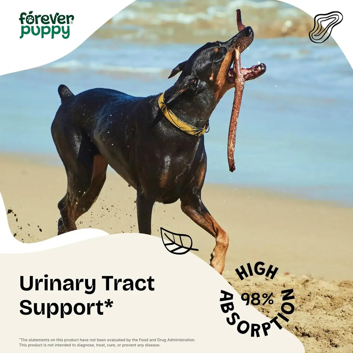 FOREVER PUPPY - Forever Puppy Urinary Tract Drops for Dogs 2 Fl.Oz. - The Red Vitamin MX - Salud De Tracto Urinario Para Perros - {{ shop.shopifyCountryName }}