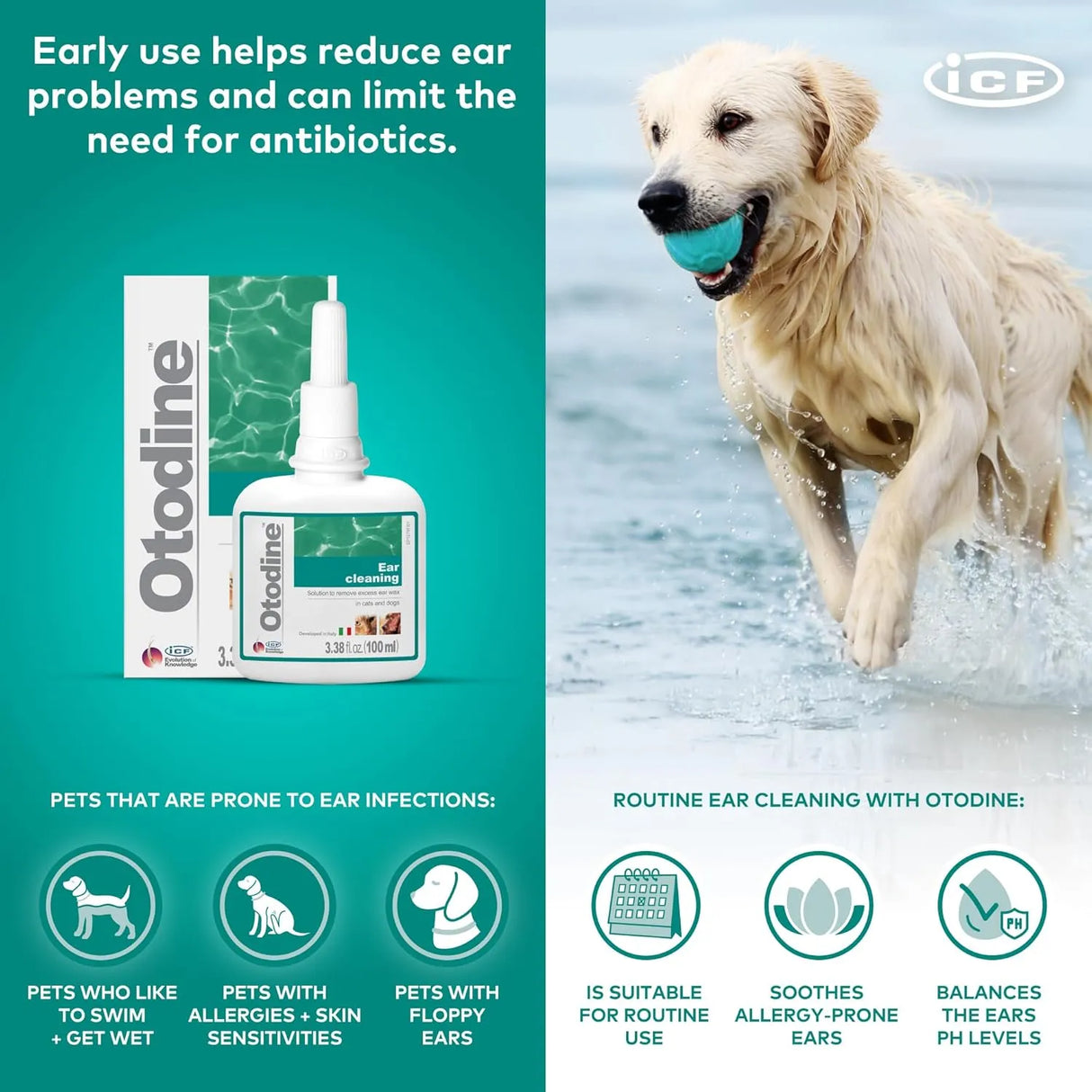 ICF - ICF Otodine Dog Ear Cleaner 100Ml. - The Red Vitamin MX - Cuidado Del Oído De Perros - {{ shop.shopifyCountryName }}