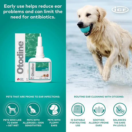 ICF - ICF Otodine Dog Ear Cleaner 100Ml. - The Red Vitamin MX - Cuidado Del Oído De Perros - {{ shop.shopifyCountryName }}