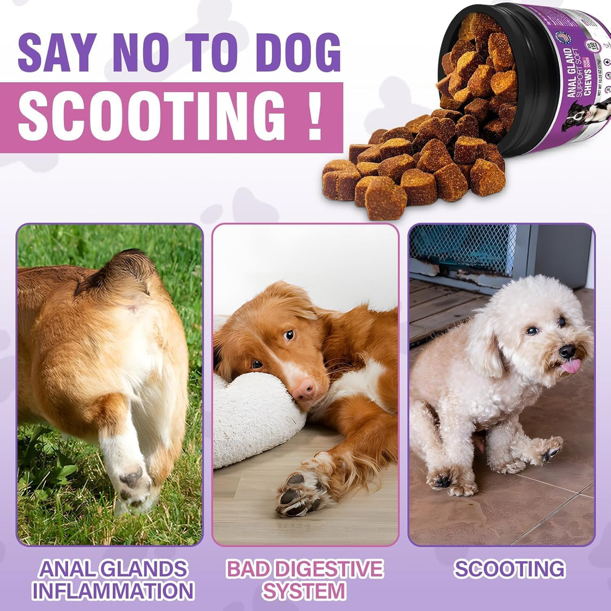 TTIXRL Dog Anal Gland Soft Chews Chicken Flavor 150 Masticables