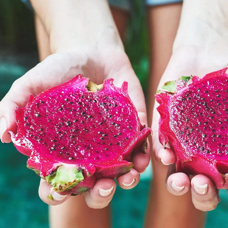 WILDERNESS POETS - Wilderness Poets, Freeze-Dried Dragon Fruit Powder 907Gr. - The Red Vitamin MX - Suplementos Alimenticios - {{ shop.shopifyCountryName }}