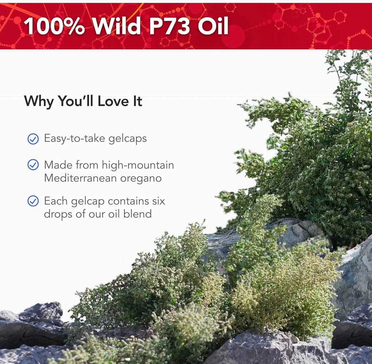 PHYSICIAN'S STRENGTH - Physician's Strength Wild Oil of Oregano 60 Capsulas Blandas - The Red Vitamin MX - Suplementos Alimenticios - {{ shop.shopifyCountryName }}