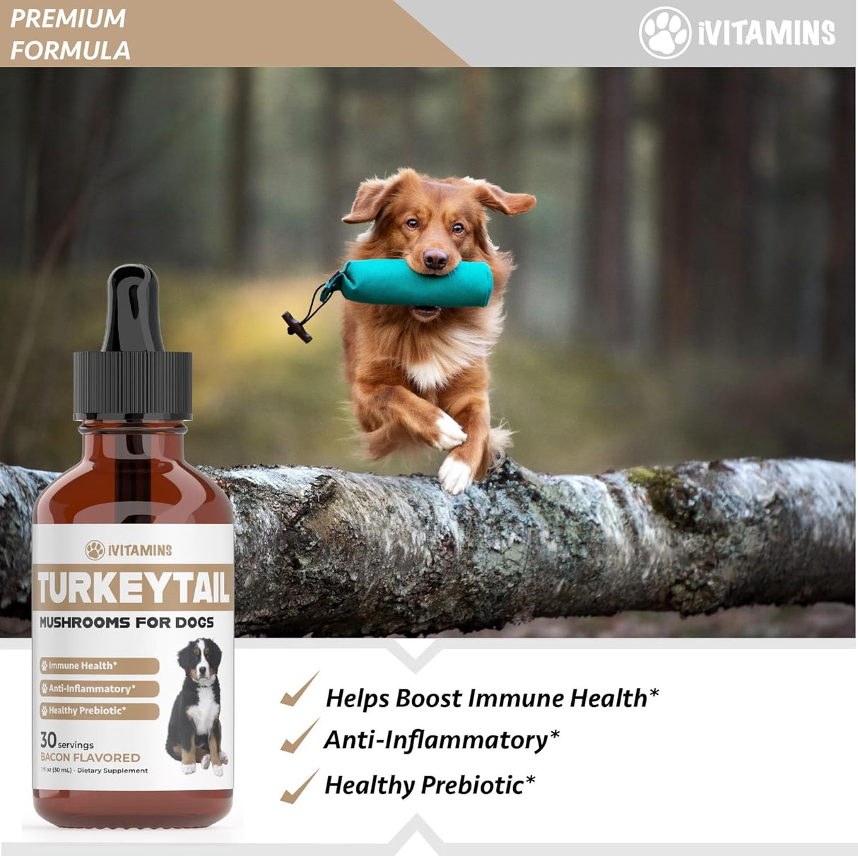 IVITAMINS - iVitamins Turkey Tail Mushroom for Dogs 1 Fl.Oz. - The Red Vitamin MX - Suplementos Herbales Para Perros - {{ shop.shopifyCountryName }}