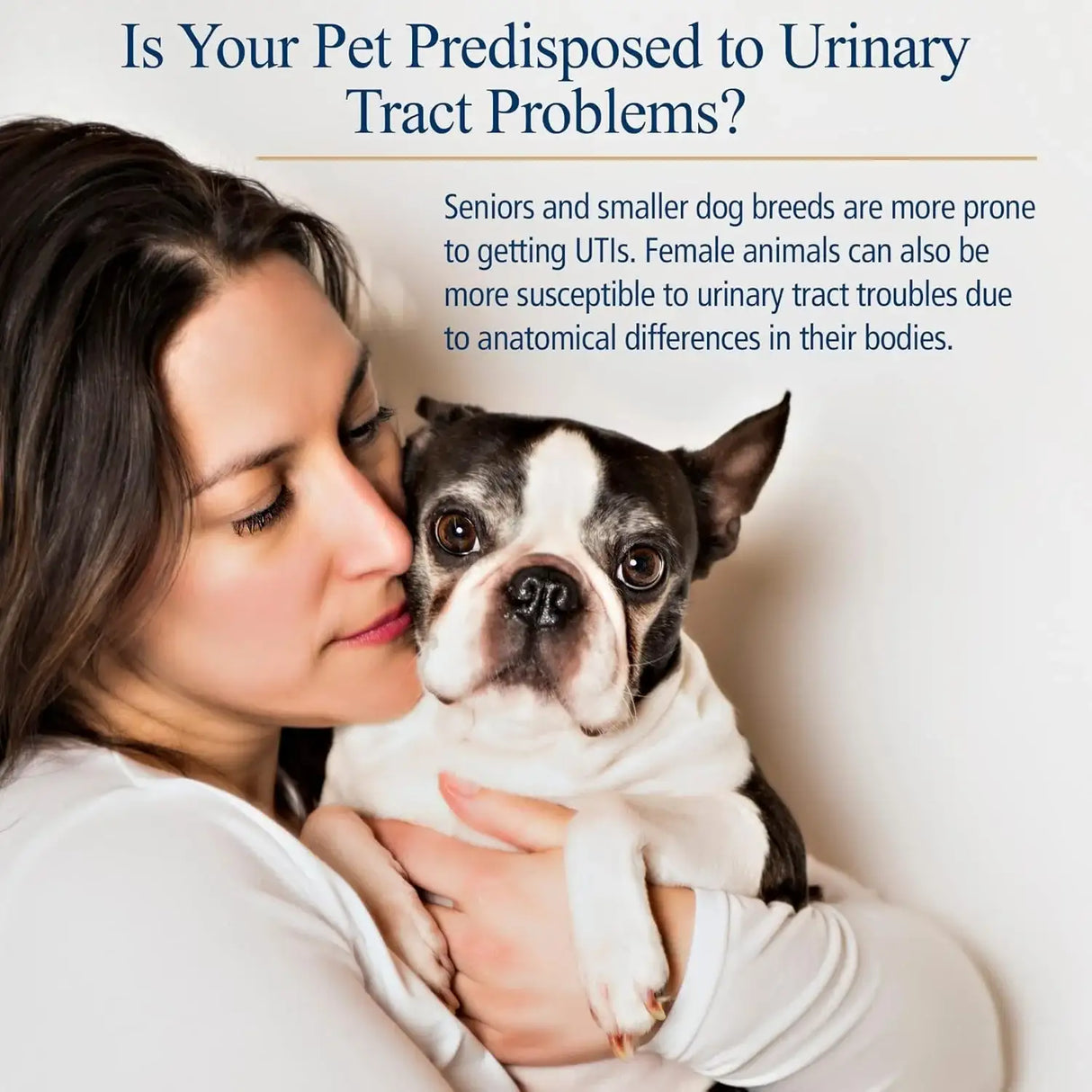 RX VITAMINS - Rx Vitamins Cranberry Pills for Dogs 90 Capsulas - The Red Vitamin MX - Salud De Tracto Urinario Para Perros - {{ shop.shopifyCountryName }}