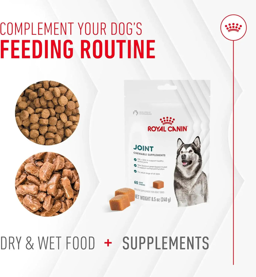 ROYAL CANIN - Royal Canin Joint Supplement Soft Chews for Adult Dogs 60 Masticables - The Red Vitamin MX - Cuidado De Cadera Y Articulaciones Para Perros - {{ shop.shopifyCountryName }}