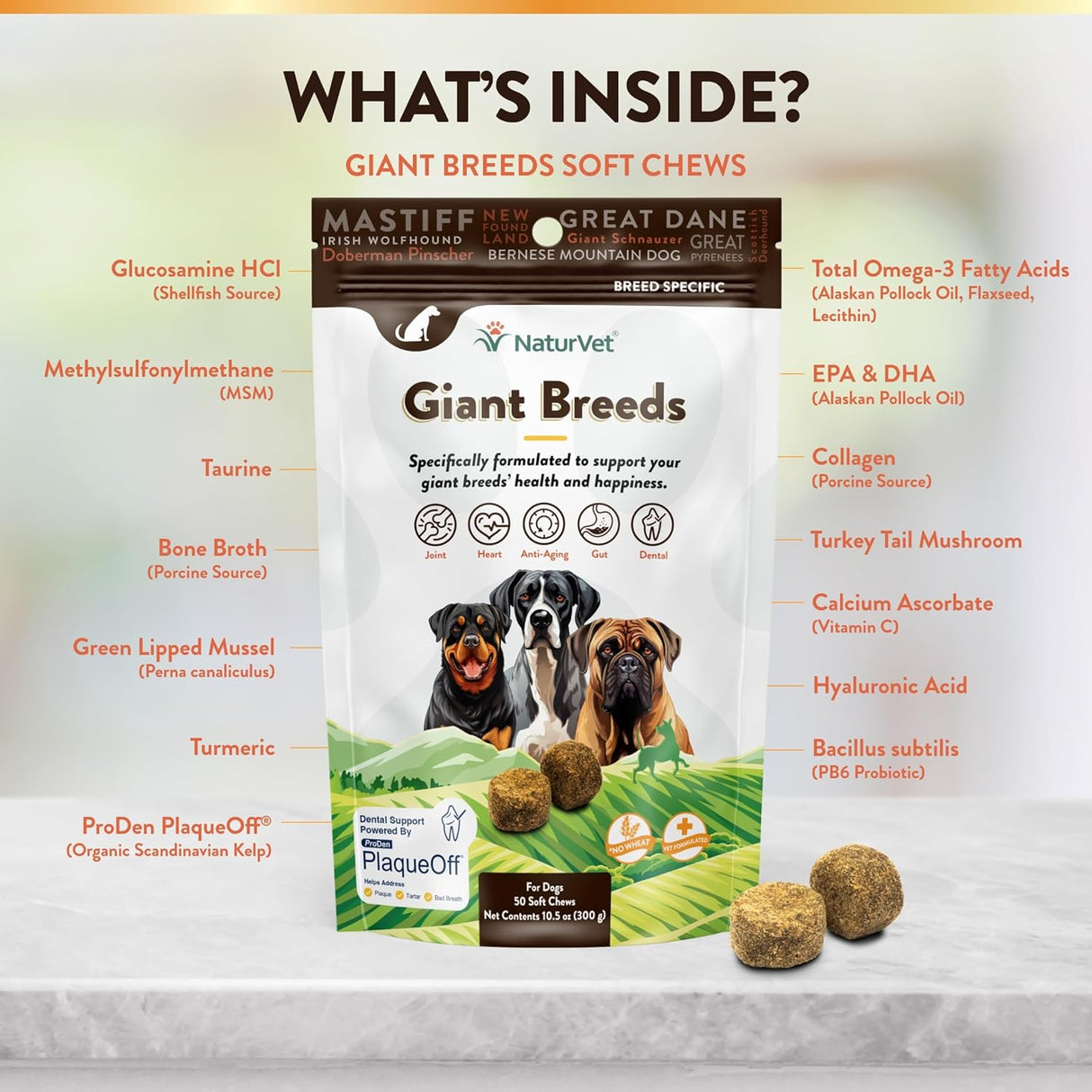NATURVET - NaturVet Giant Breeds Supplement 50 Masticables - The Red Vitamin MX - Multivitamínicos Para Perros - {{ shop.shopifyCountryName }}