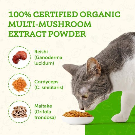 ANIMAL ESSENTIALS - Animal Essentials MUSHROOM DEFENSE Supplement for Dogs 70Gr. - The Red Vitamin MX - Suplementos Herbales Para Perros - {{ shop.shopifyCountryName }}