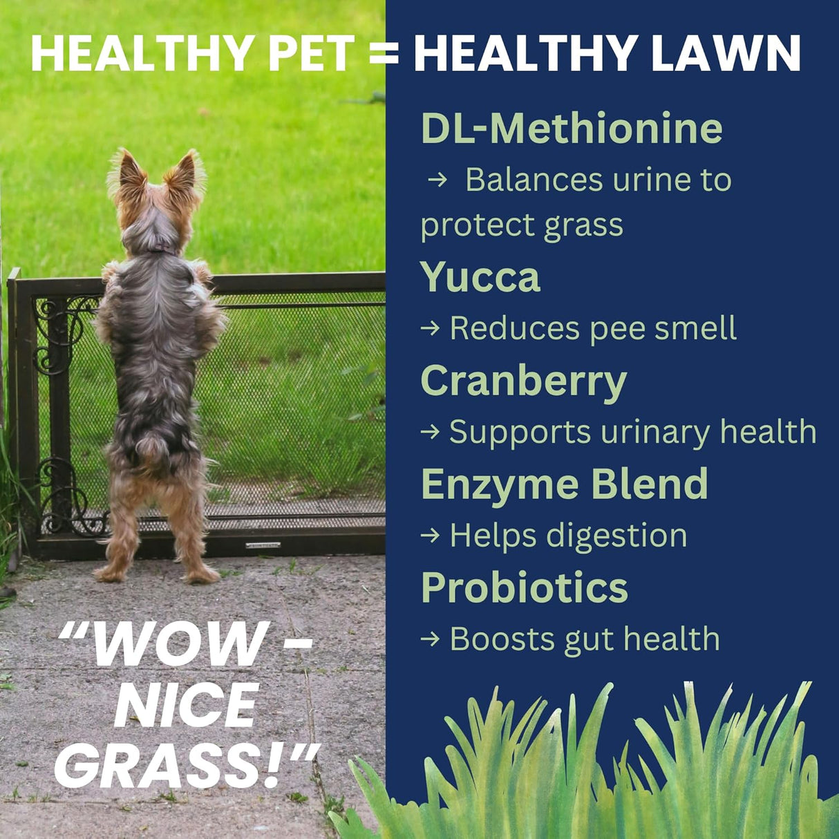 Under the Weather Nice Grass Chews for Dogs 60 Masticables